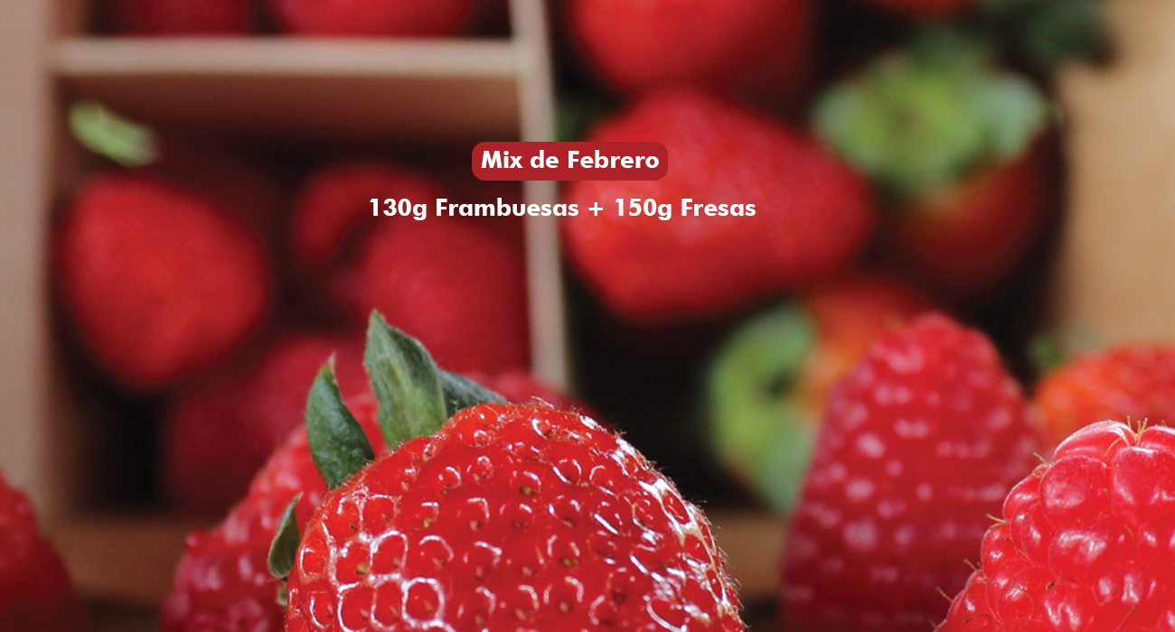 Fresas Frescas Del Llano